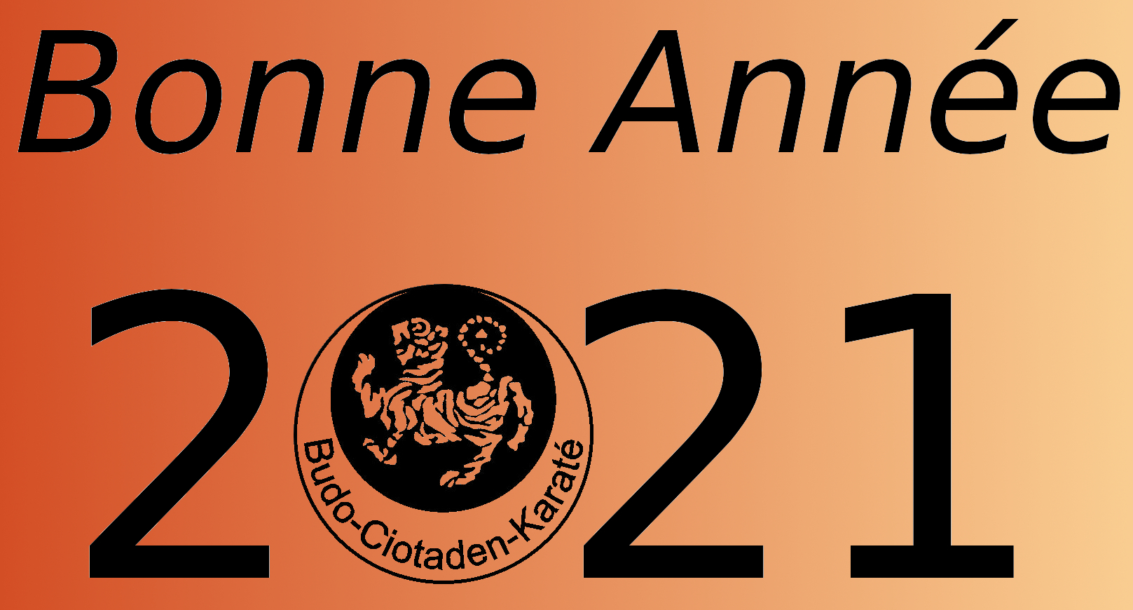 Bonne annee 2021 degrade