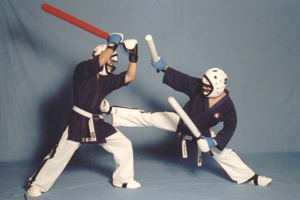 yoseikan combat armes