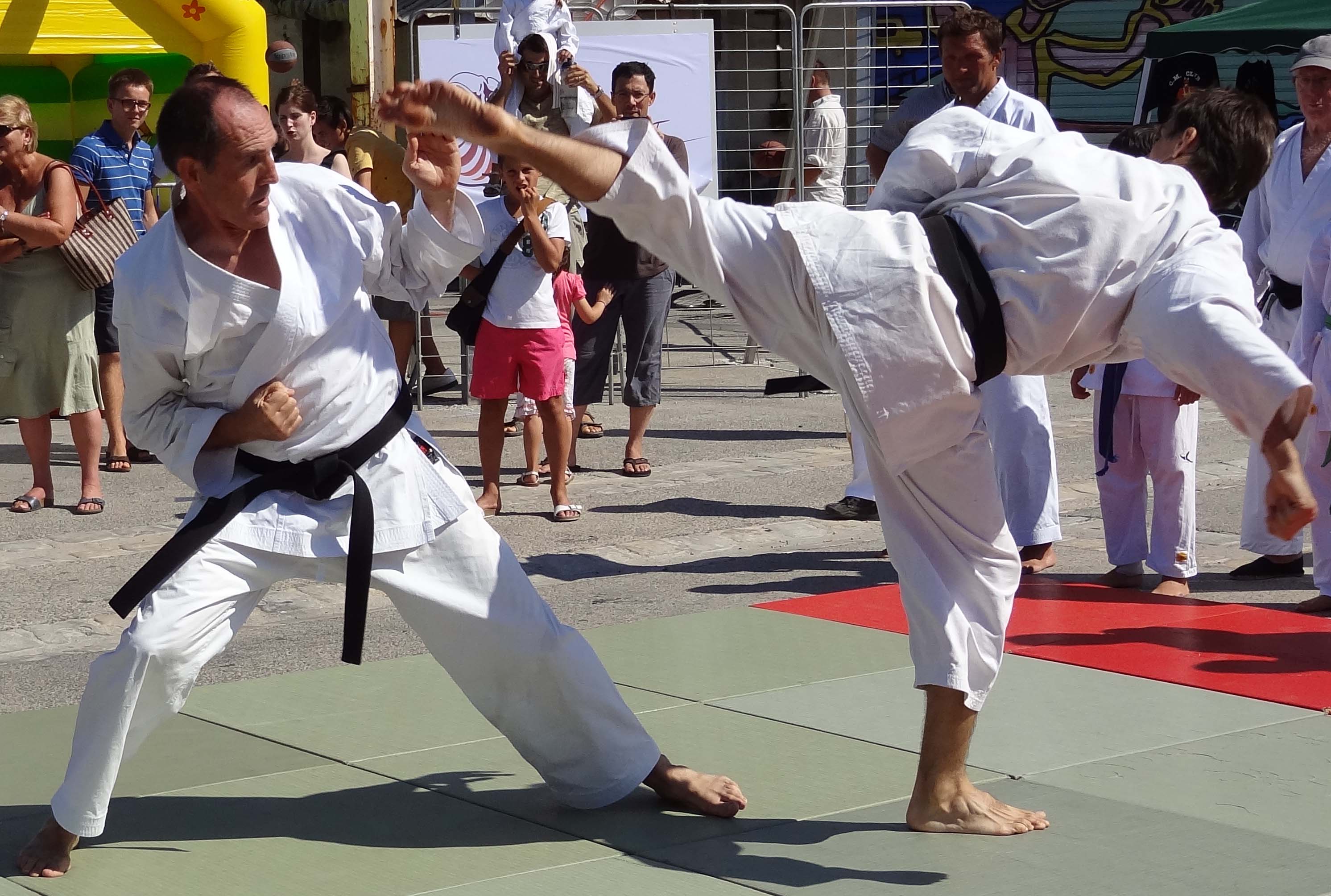 Phil Cedric combat forum 2011